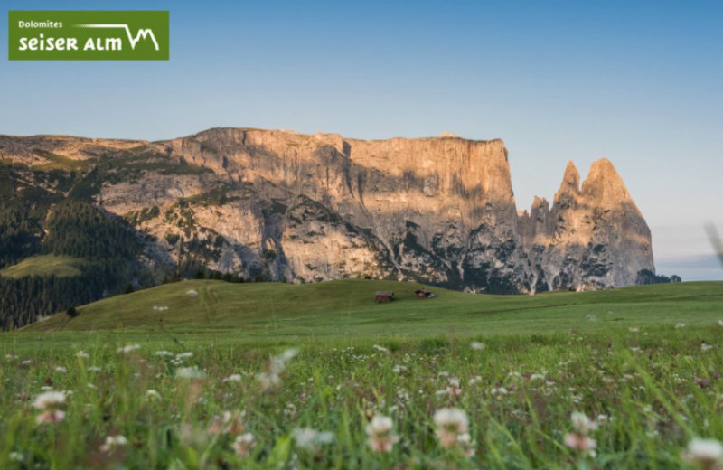 Video - Alpe di Siusi estate