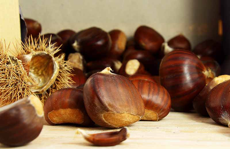 La Festa Autunnale a Sant'Osvaldo