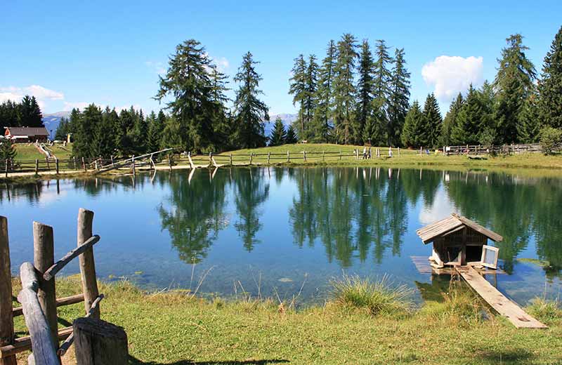 Escursione all'Alpe di Marinzen